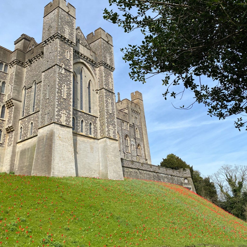 Arundel Castle Day Trip from&nbsp;London